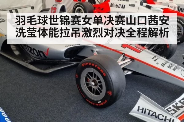 羽毛球世锦赛女单决赛山口茜安洗莹体能拉吊激烈对决全程解析